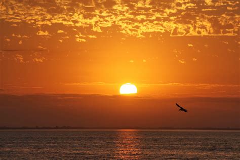 Free Images Sea Coast Nature Ocean Horizon Sunshine Sunrise