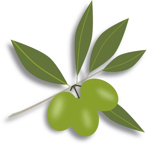 Green Olive Clipart 10 Free Cliparts Download Images On Clipground 2024