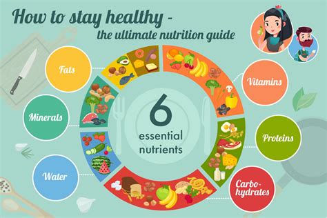 Everything You Need To Know To Stay Healthy