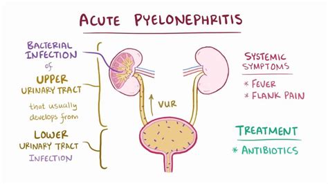 Acute Pyelonephritis