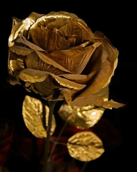 The Golden Rose By Redheadlilith On Deviantart