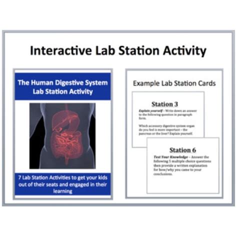 From appetite suppression to constipation. Student Exploration: Digestive System Answers : 24 Anatomy ...