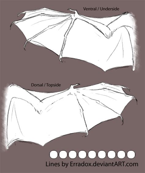 How To Draw The Batwing Apphotographycollegeboard