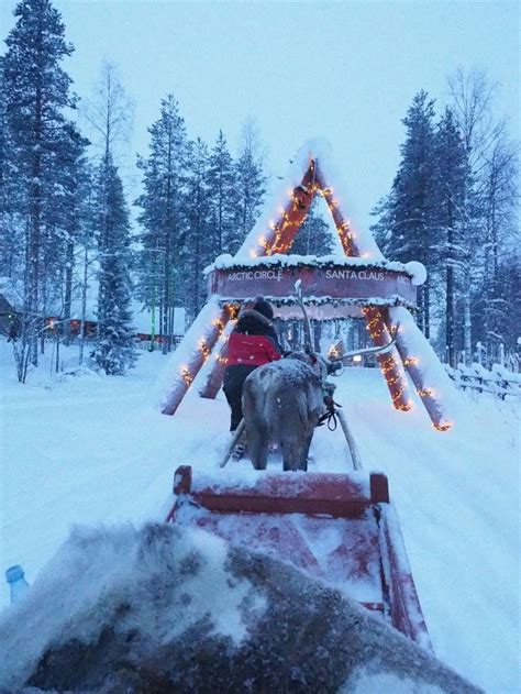 Reindeer Ride Santa Claus Village Rovaniemi Santa Claus Village