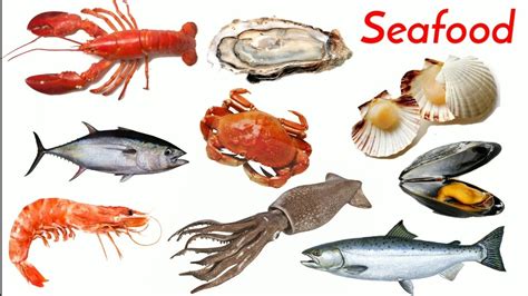 Sea Food Sea Food Name And Picture Sea Food In English And Hindi