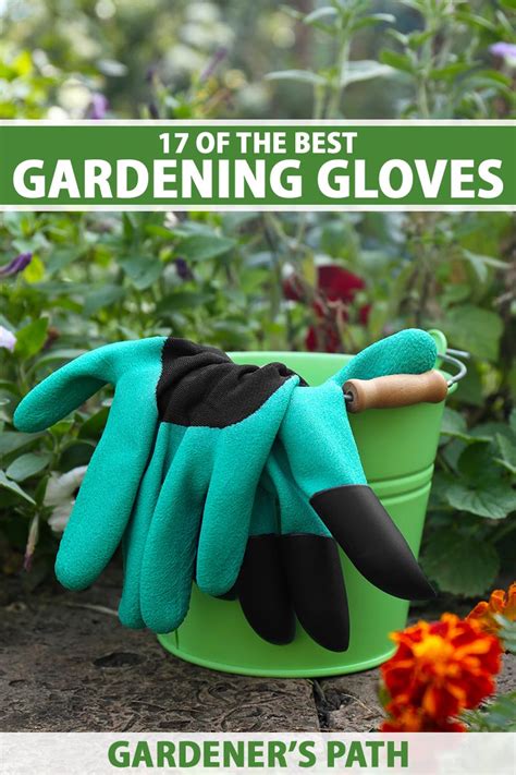 17 Of The Best Gardening Gloves In 2023 Gardeners Path