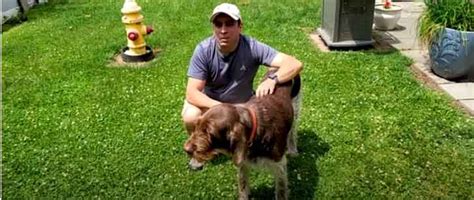 Wait until the soil dries up and start digging. How To Fix A Muddy Backyard Dog Trail (Temporary ...