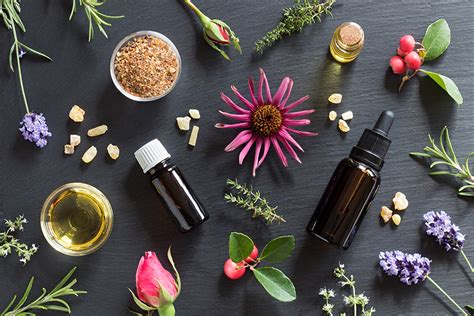 Benefits Of Aromatherapy And Essential Oils The Therapist Essentials