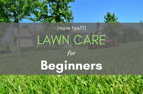 Lawn Care For Beginners More Tips Easylawnmowing