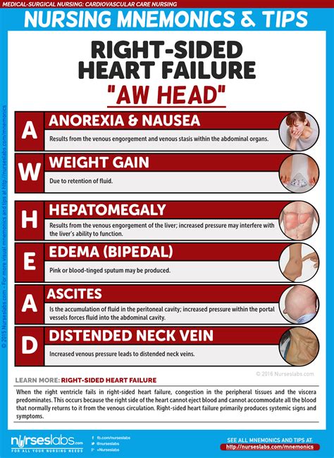 Right Sided Heart Failure Manifestations “aw Head” Cardiovascular Care