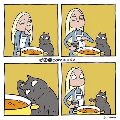 A Soup With a Cat - I Can Has Cheezburger?