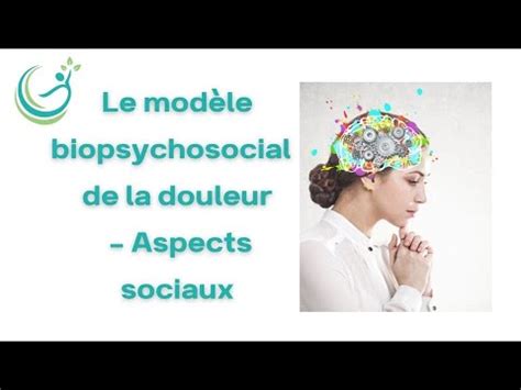 Le Mod Le Biopsychosocial De La Douleur Aspects Sociaux Youtube