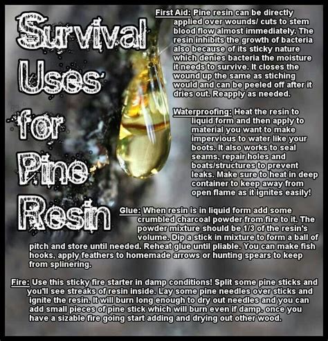 Pine Resin Survival Skills Survival Backpack Survival