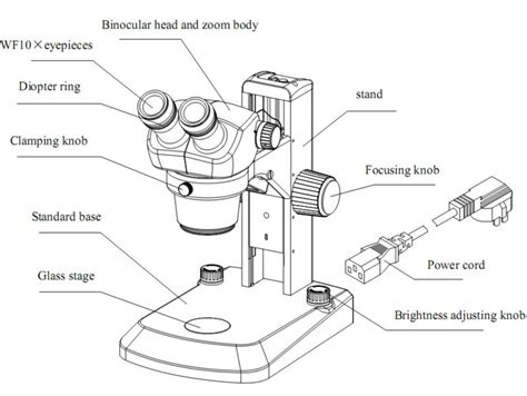 Los microscopios se componen generalmente de piezas estructurales para sujetar y sostener el microscopio, además de sus componentes y las piezas ópticas que se utilizan para ampliar y ver las imágenes de la muestra. Blink Activity | BlinkLearning