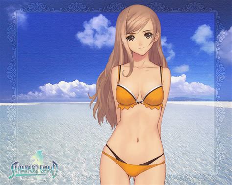 Bikini Shining Wind Swimsuit Taka Tony Touka Kureha