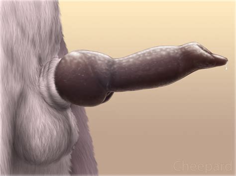 Rule 34 2014 Animal Genitalia Anthro Balls Canine Canine Penis