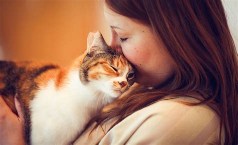 11 Razones Por Las Cuales Tu Amor Por Los Gatos Te Vuelve Más Feliz Y