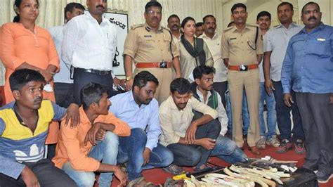police bust illegal wildlife trade racket arrest five persons the hindu