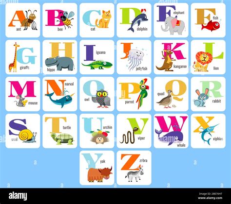 Los Niños Tienen Un Alfabeto Completo Con Animales De Dibujos Animados