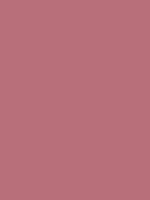 Rose gold is a relatively new color. Rose gold / #b76e79 hex color