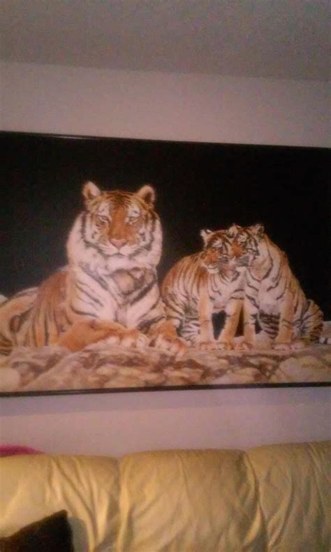 Tiger Painting On A Canvas Signed By Anderson Instappraisal