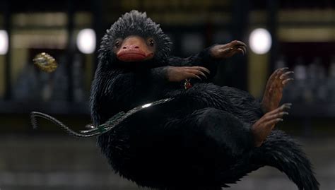 Fantastic beasts and where to find them. The Creatures of FANTASTIC BEASTS AND WHERE TO FIND THEM ...