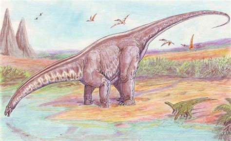 Apatosaurus Características Hábitat Alimentación