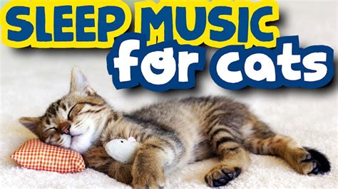 Calming Music For Sleep Cats ♥♥ Youtube