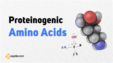 Proteinogenic Amino Acids Biochemistry