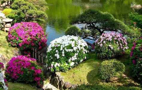 The wooden fence is organic in design and the lake is asymmetrical and organic in nature. Beautiful Japanese Garden Design, Landscaping Ideas for ...