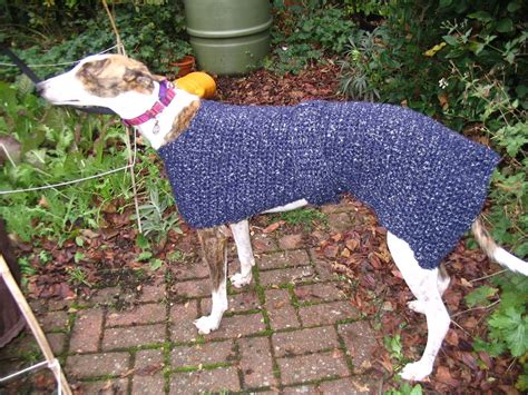 Crocheted Greyhound Coat Crochet Dog Patterns Crochet Dog Sweater