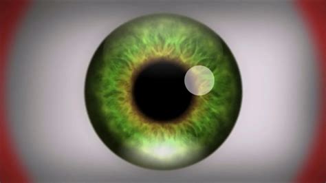 5 Optical Illusions With Natural Hallucinogen Effects Youtube