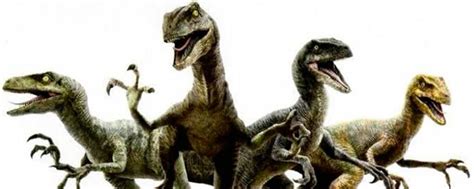 Jurassic World ¿quieres Saber Cómo Se Llaman Los Velociraptores De Chris Pratt Noticias De