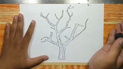 How To Draw Tree Branches Step By Step Youtube