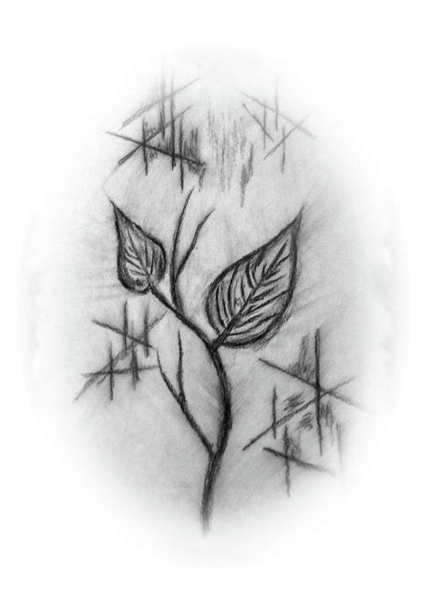 Two Leaves Drawing By John Krakora