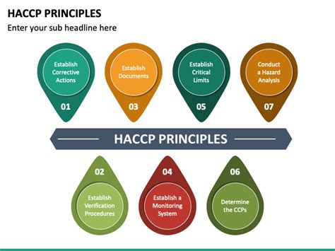 Haccp Principles Powerpoint Template Ppt Slides