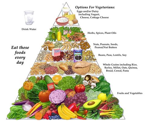 Health And Environmental Benefits Of Vegetarian Diet Health And Love Page