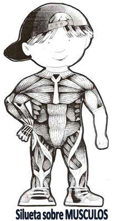 Dibujos Para Colorear De Los Musculos Del Cuerpo Humano Para Niños Imagui