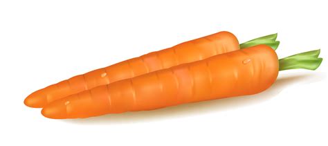 Baby Carrot Vegetable Carrot Png Download 1886843 Free