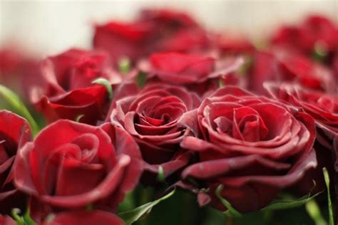 We did not find results for: Anti-Valentine's Day 2014 Memes PHOTOS