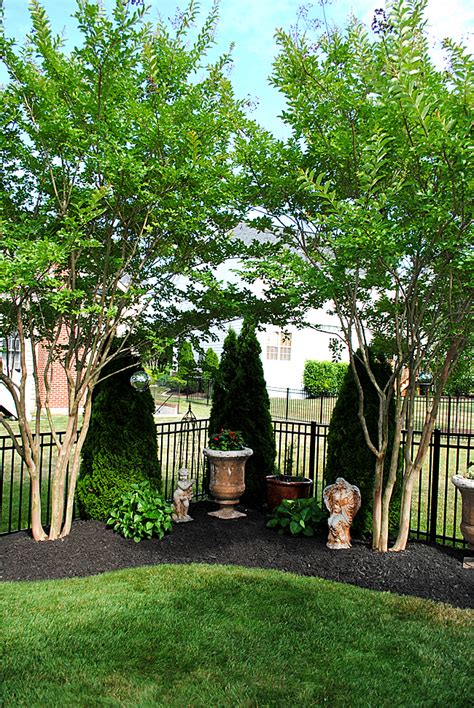 Must consider backyard privacy also. 8 Great Ideas for Backyard Landscaping! - The Graphics Fairy