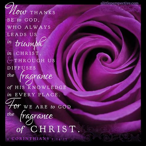The king james ( kjv ) bible. II Corinthians‬ ‭2:14-15‬ ‭NKJV‬‬ "Now thanks be to God ...