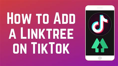 How To Make A Linktree Page And Add It To Your Tiktok Profile Youtube
