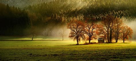 Finest Autumn Lansdcape Of Bavarian Nature With Several Trees And