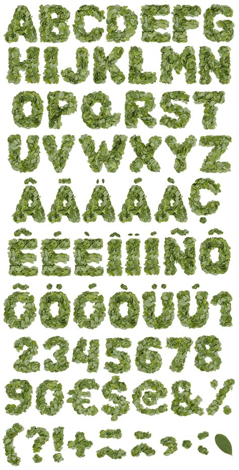 Leaves Font Green Opentype Typeface