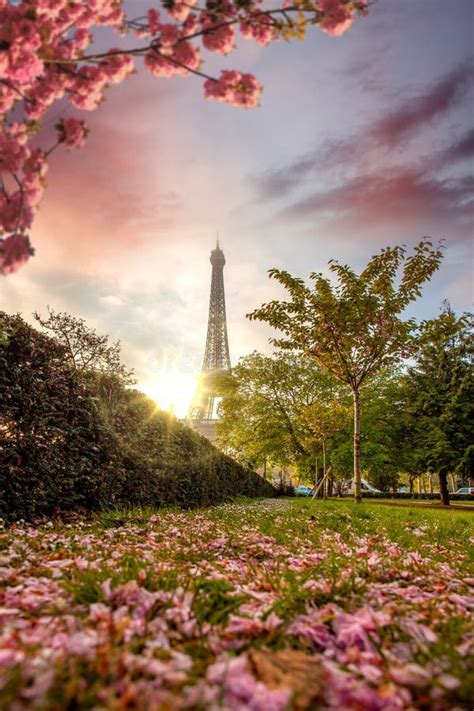Eiffel Tower During Spring Time In Paris France Stock Photo Image Of