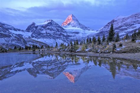 Mount Assiniboine Reflected In Pond At Dawn Mount Assiniboine