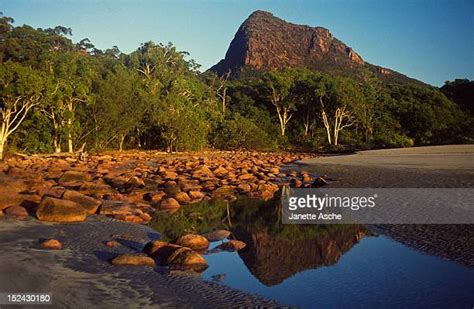 Hinchinbrook Island Photos And Premium High Res Pictures Getty Images