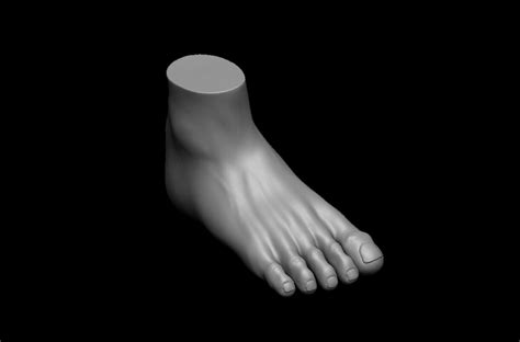 Artstation Free Foot Highpoly Resources