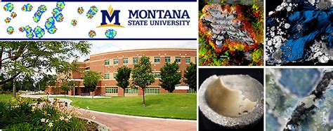 Bioinformatics Workshop Center For Biofilm Engineering Montana State University